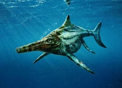 Tìm thấy giống cá lạ &#8211; &#8216;họ hàng&#8217; của quái vật hồ Lochness