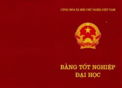 Tỉnh Thái Bình lý giải việc 7 "quan chức" thiếu bằng đại học