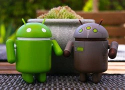 Vì sao Google không vá lỗi đe dọa gần 1 tỷ thiết bị Android?