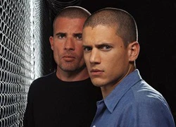 Wentworth Miller háo hức tái hợp bạn diễn &#8216;Vượt ngục&#8217;