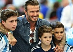 Beckham thừa nhận 3 cậu con trai đều lười học