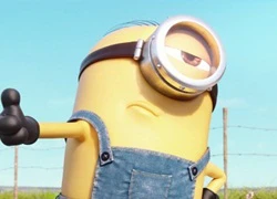 Bó tay với màn chặn đường đòi đi nhờ xe của lũ Minions