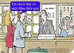 Cháy túi vì cô vợ mới quen