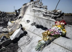 Diễn biến mới trong cuộc điều tra máy bay MH17 rơi ở Ukraine