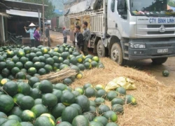 Giải bài toán ùn tắc nông sản ở cửa khẩu