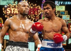 Hàng trăm triệu đồng cho 1 tấm vé xem trận quyết đấu giữa Pacquiao và Mayweather