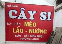 Lạ lùng tục ăn thịt mèo đầu năm