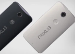 Nexus 6 bị Apple nẫng tay trên công nghệ quét vân tay