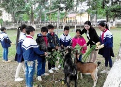 Những sáng tạo từ cơ sở góp phần đổi mới giáo dục