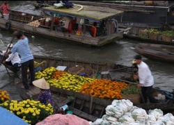 Sắc xuân trên chợ nổi Cần Thơ