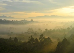 Sống chậm ở thành phố hương trà Bảo Lộc