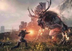 The Witcher 3: Wild Hunt tốn đến 50GB trên PS4