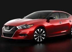 Xe sedan thể thao Nissan Maxima 2016: Thiết kế đặc sắc hơn