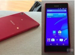 Xperia M4 Aqua và Z4 Tablet lộ diện trước thềm MWC