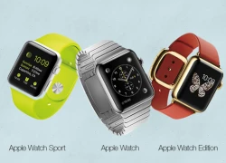 10 tiết lộ thú vị về Apple Watch