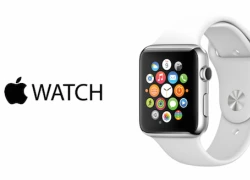 15 triệu đồng hồ Apple Watch có thể được bán trong năm 2015