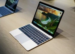 Ảnh thực tế MacBook Retina 12 inch &#8211; laptop Apple mỏng nhất