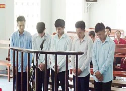 Băng trộm cắp sống 'bầy đàn' lãnh án