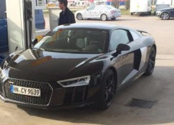 Bắt quả tang Audi R8 mới khi chưa phát hành