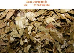 Bi hài... dâm dương hoắc