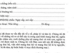 Chính thức được nhờ người mang thai hộ vì mục đích nhân đạo