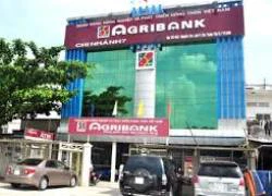 Cho vay không thế chấp, Phó Giám đốc Agribank TP.HCM bị bắt