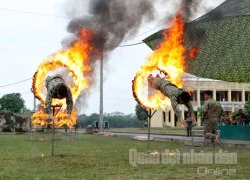 Chú trọng nâng cao chất lượng huấn luyện đặc công biệt động, chống khủng bố