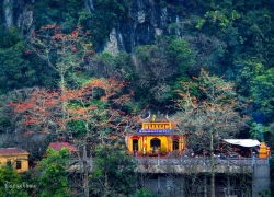 Chùa Hương ngày khai hội