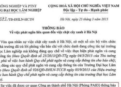 Công an Hà Nội không can thiệp phát ngôn của trường Đại học Lâm nghiệp