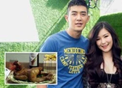 Dân mạng "cười bò" vì hình ảnh chú gà "cúng" trong MV mới của Hương Tràm