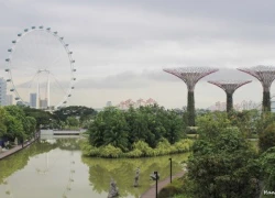 Dạo quanh kỳ quan Gardens by the Bay