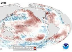 Địa cầu có thể nóng kỷ lục vì El Nino tái xuất