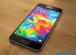 Dự đoán chân dung Samsung Galaxy S6 trước giờ G