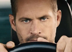 'Fast & Furious 7' là lời tri ân đặc biệt tới Paul Walker