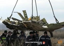 Hà Lan tìm kiếm nhân chứng bắn rơi MH17