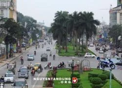 Hà Nội: Cây "lạ" được thay trên phố ban đêm?