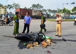 Hai thanh niên nghi trộm chó tông vào ôtô