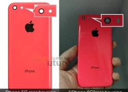 Hình ảnh đầu tiên của iPhone 6C