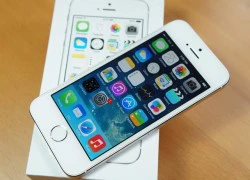 iPhone 5S khan hàng diện rộng dịp đầu năm