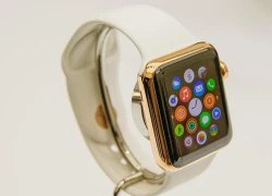 Khách hàng Apple Watch Edition được chăm sóc đặc biệt