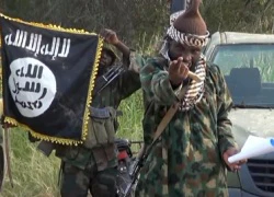 Liên Hợp Quốc dự thảo nghị quyết hỗ trợ liên quân chống Boko Haram