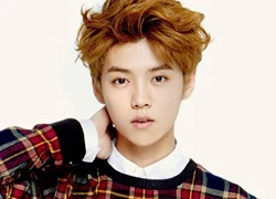 Luhan tham gia bom tấn của Trương Nghệ Mưu