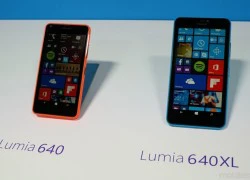 Lumia 640, 640 XL có giá dự kiến 3,5 và 5 triệu