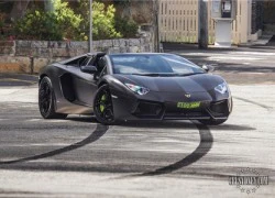 Mất 18 tháng đặt hàng Aventador bản "độc"