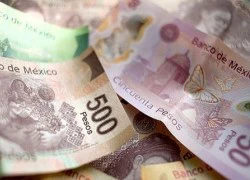 Mexico: Bắt giữ 3 nghi phạm nhét 2,8 triệu Peso trong ống quần