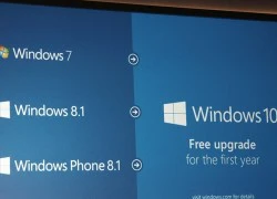 Microsoft: Dùng Windows lậu vẫn được nâng cấp