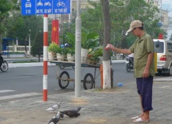 Người đàn ông "xén" bánh của cháu để nuôi chim trời