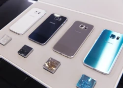 Những nâng cấp đáng chú ý trên Samsung Galaxy S6