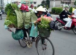 Những phụ nữ không có hoa ngày 8-3