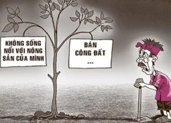 Nông dân hệ bán công